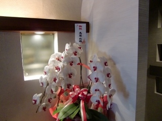 画像 006.jpg